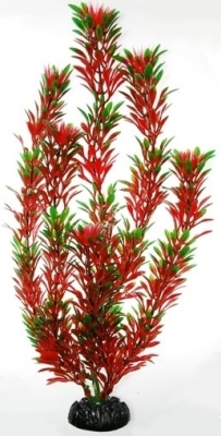 Sztuczna roślina akwariowa Arychnik czerwono-zielony 30cm HAILEA